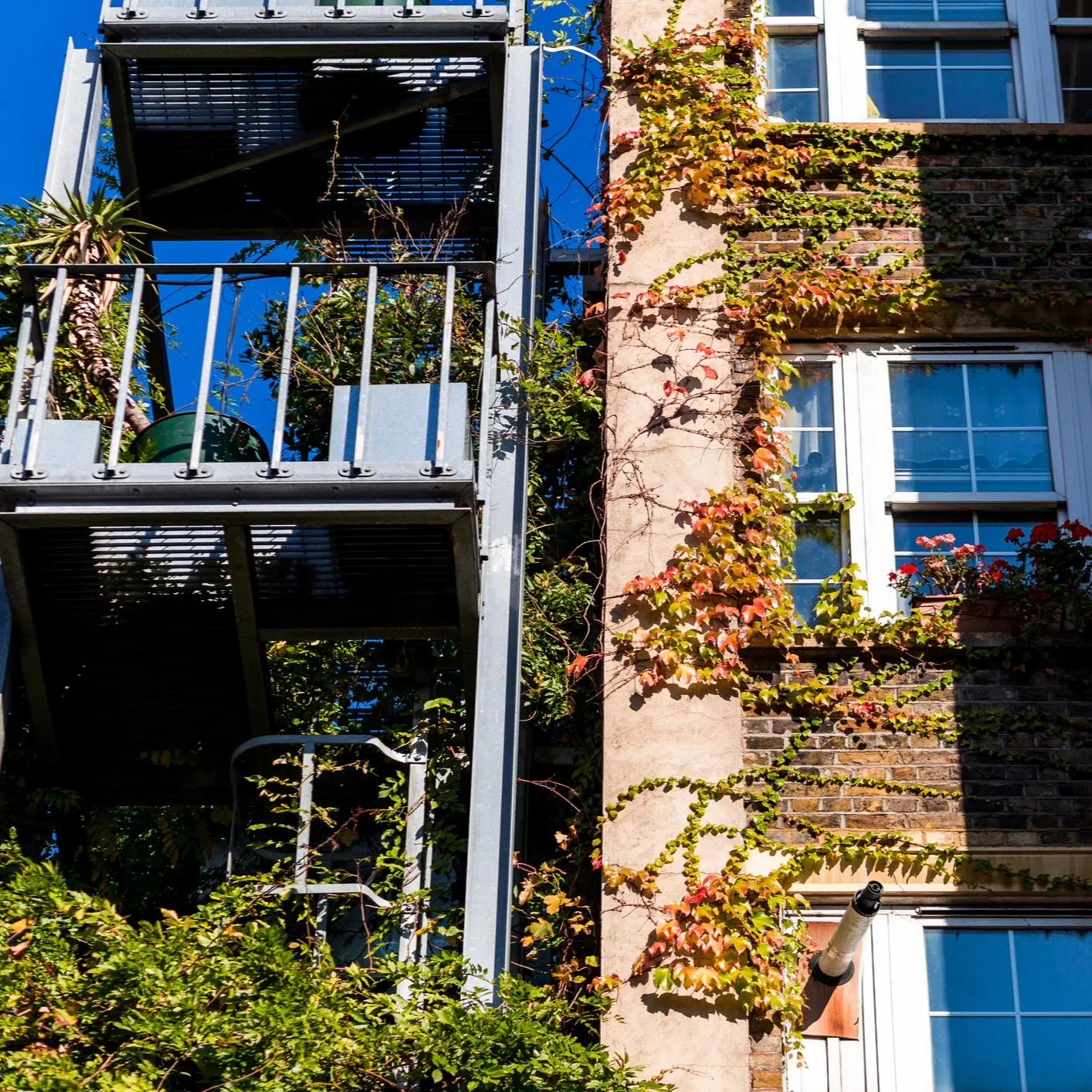 Landlord lettings services